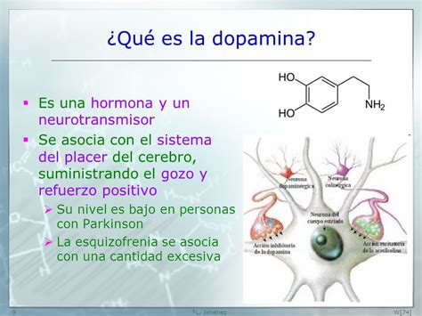 dopamina funcion - funcion lineal